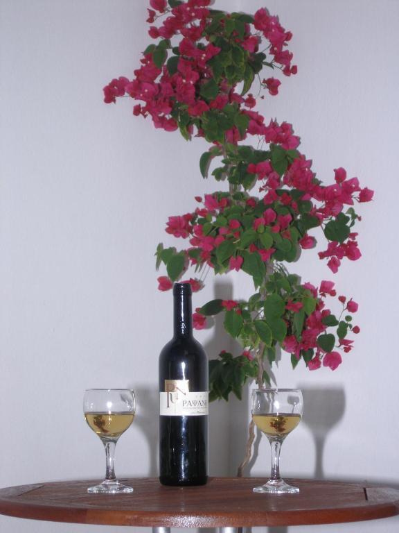 Anatoli Appartement Azolimnos Buitenkant foto